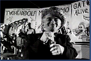 Webb Wilder - Scott Kalvert, Director (1988)