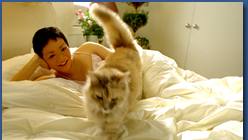 Purina Cat Chow