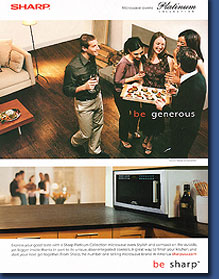 Sharp - Henrick Knudson, Photographer (2002)